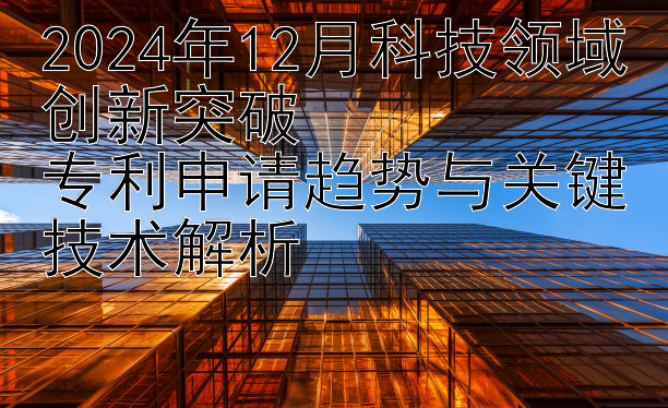 2024年12月科技领域创新突破  
专利申请趋势与关键技术解析